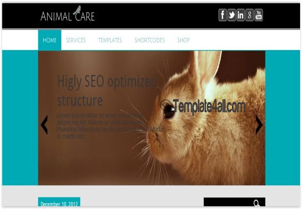 Pets Care Wordpress Theme