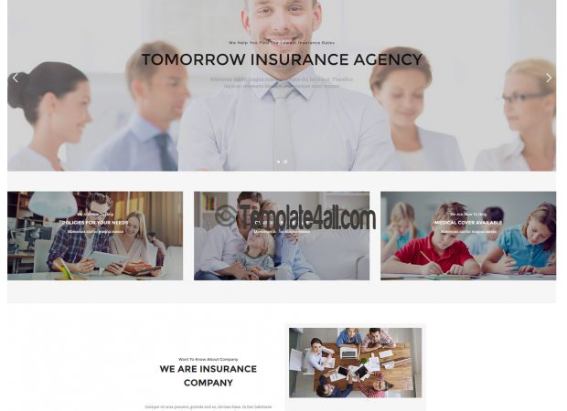 NT Genisu Insurance Company Wordpress Theme