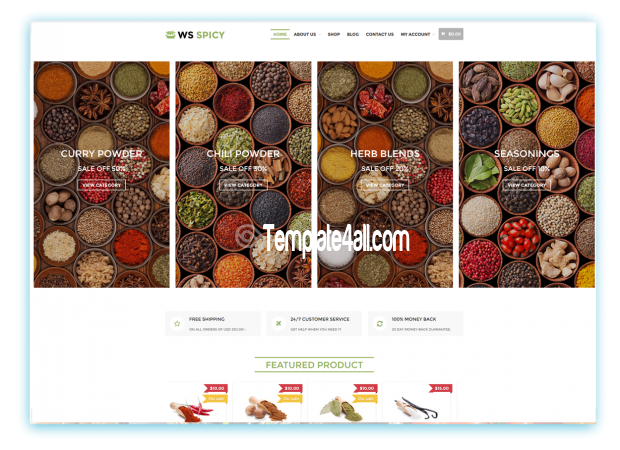 WS Free Responsive Spices Store Wordpress Theme