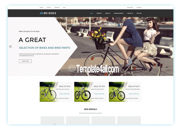 WS Free Responsive Bikes Shop WordPress Theme